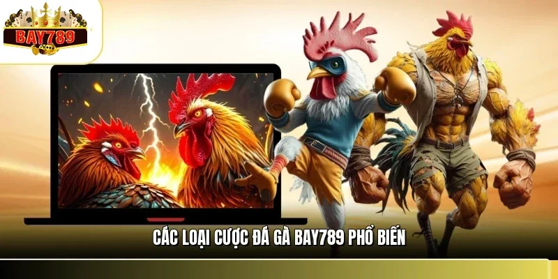 Các Loại Cược Đá Gà BAY789 - Hướng Dẫn Chi Tiết Cho Kê Thủ 1 Các loại cược đá gà BAY789 phổ biến