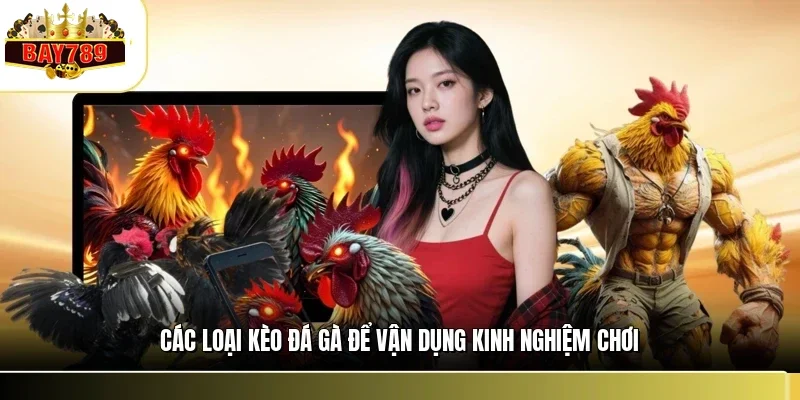 Kinh Nghiệm Xem Kèo Đá Gà BAY789 Chuẩn Từ Lão Làng 2 Các loại kèo đá gà để vận dụng kinh nghiệm chơi