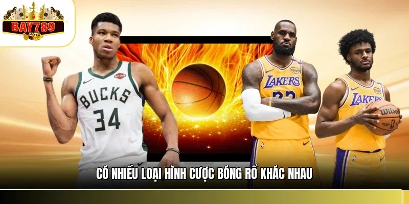 Cá Cược Bóng Rổ BAY789 - Chiến Thuật Soi Kèo Cực Chất 2 Có nhiều loại hình cược bóng rổ khác nhau