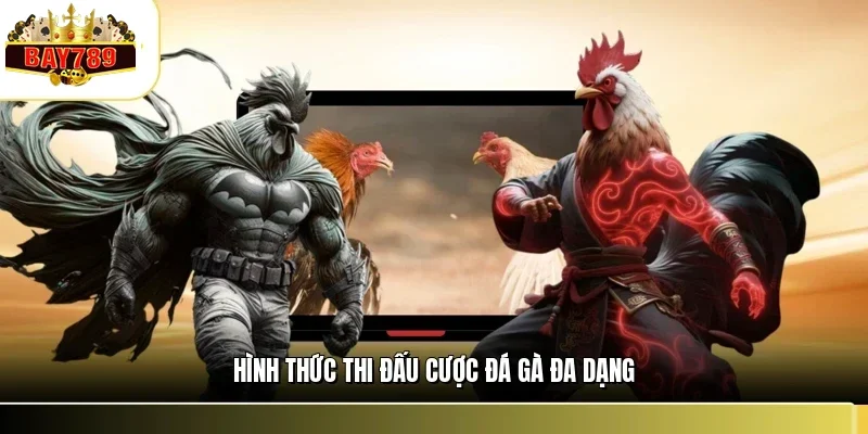 Các Loại Cược Đá Gà BAY789 - Hướng Dẫn Chi Tiết Cho Kê Thủ 2 Hình thức thi đấu cược đá gà đa dạng