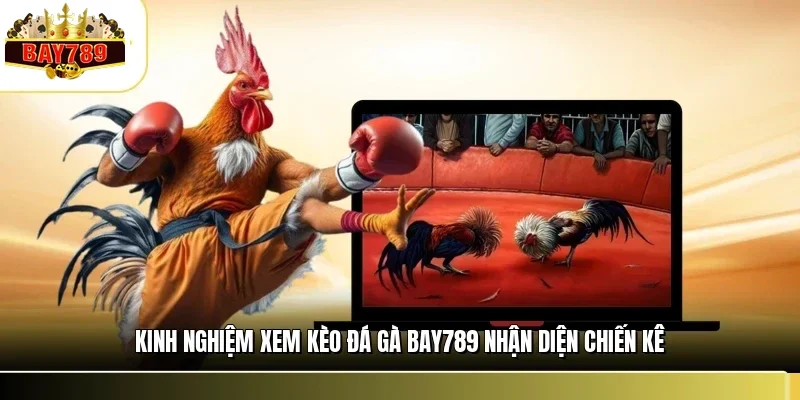 Kinh Nghiệm Xem Kèo Đá Gà BAY789 Chuẩn Từ Lão Làng 1 Kinh nghiệm xem kèo đá gà BAY789 nhận diện chiến kê