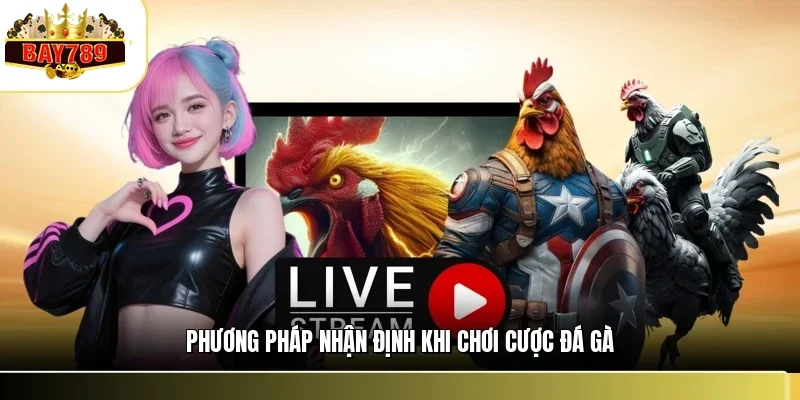 Phương pháp nhận định khi chơi cược đá gà