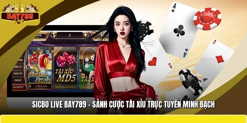 Sicbo Live BAY789 – Sảnh Cược Tài Xỉu Trực Tuyến Minh Bạch