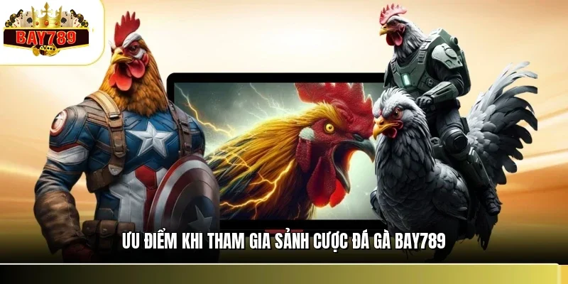 Ưu điểm khi tham gia sảnh cược đá gà BAY789